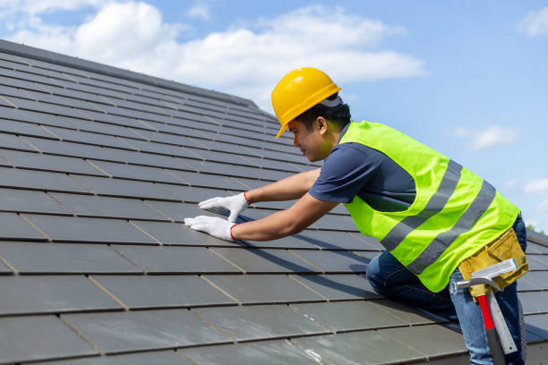 Best Roof Repair Services  in Shenandoah, VA