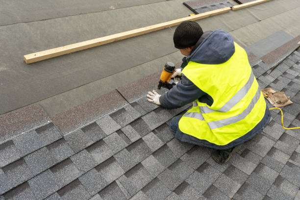 Best Roof Gutter Cleaning  in Shenandoah, VA