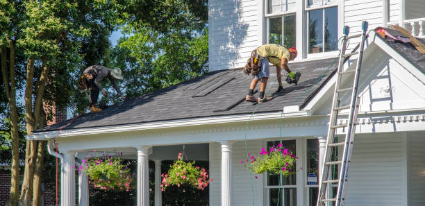 Roof Gutter Cleaning in Shenandoah, VA