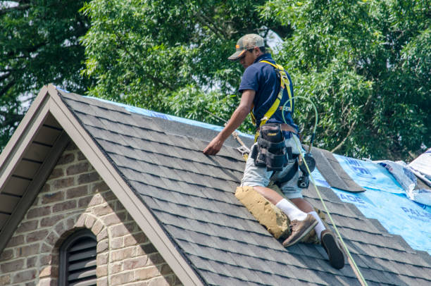 Best Roof Waterproofing Services  in Shenandoah, VA